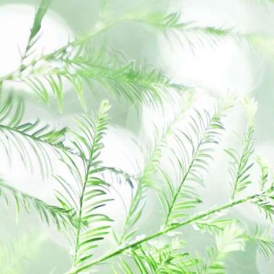 致命感染手机游戏下载