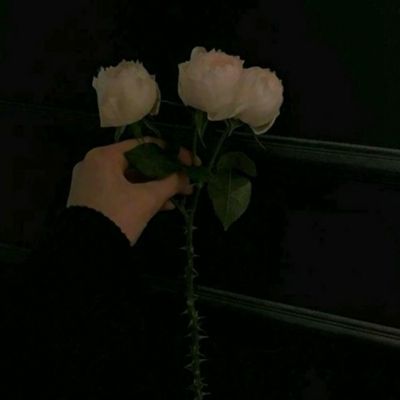 大话儒道bt版下载